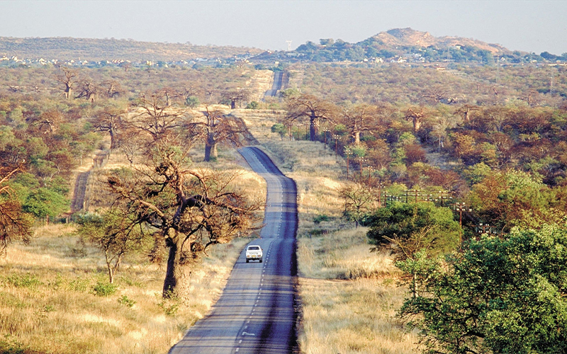 Road to Maun lined with baobab trees