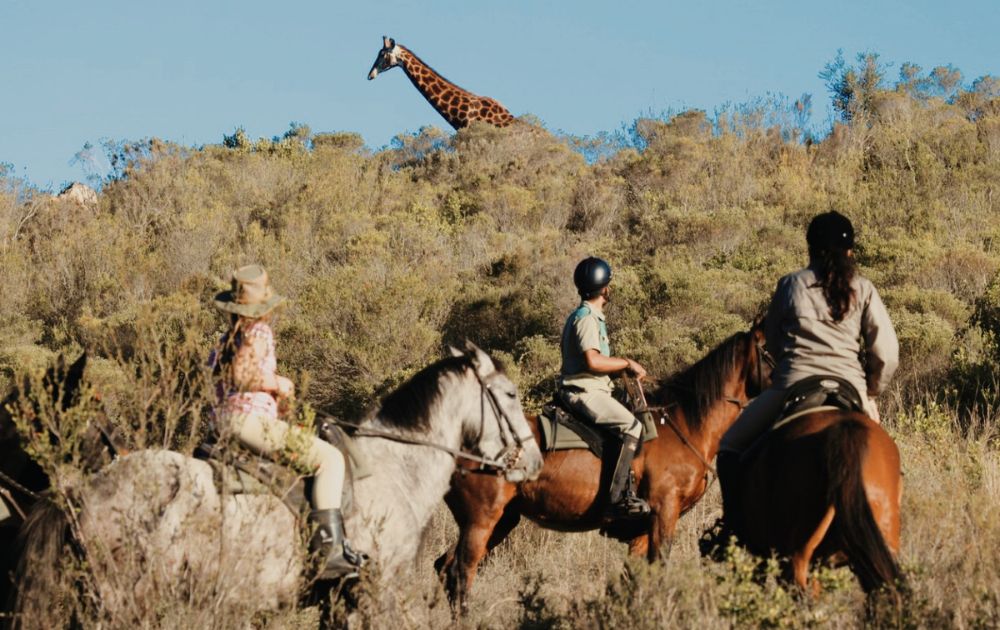 The Garden Route